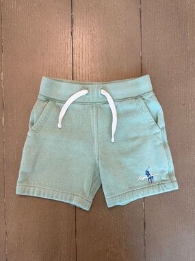 Polo Ralph Lauren Toddler Boys’ Pull-On Green Fleece Drawstring Shorts • Size 3T